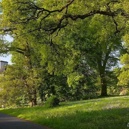 Mount Juliet Estate Manor House 5*