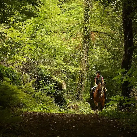 Mount Juliet Estate Manor House 5* Thomastown (Kilkenny)