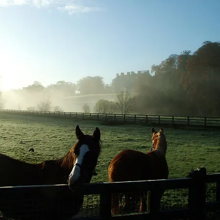 Mount Juliet Estate Manor House 호텔 5*