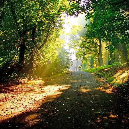 호텔 Mount Juliet Estate Manor House