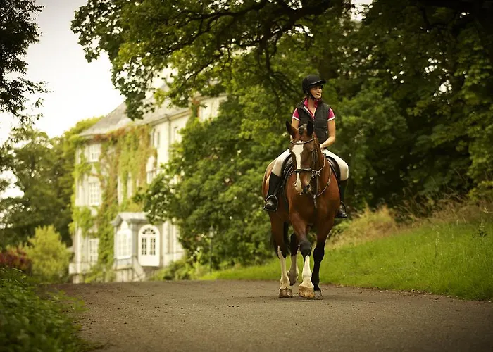 Отель Mount Juliet Estate Manor House Томастаун