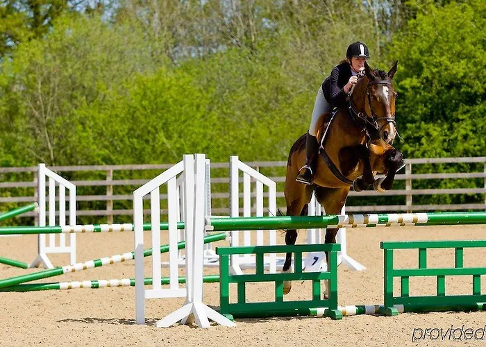 Mount Juliet Estate Manor House Отель Томастаун