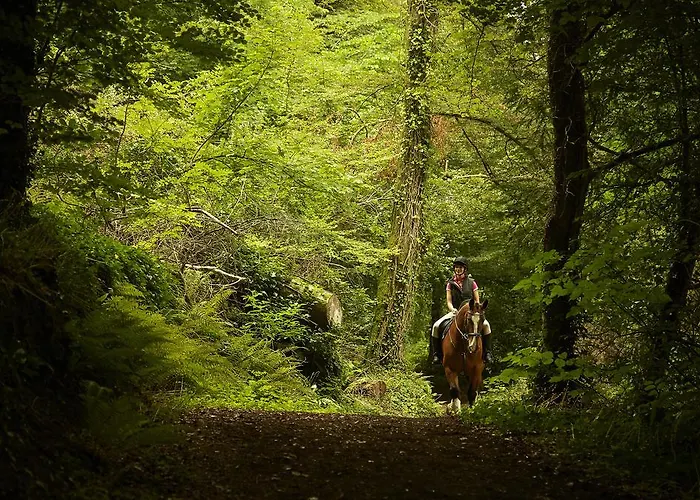 Mount Juliet Estate Manor House 5* Thomastown (Kilkenny)
