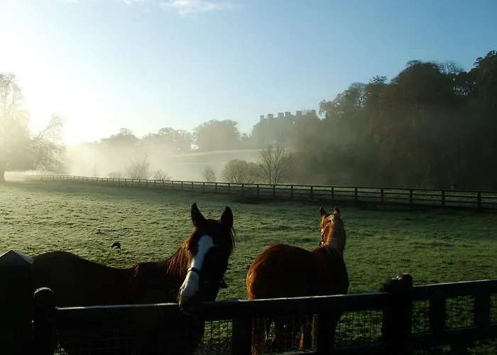 Mount Juliet Estate Manor House Отель 5*