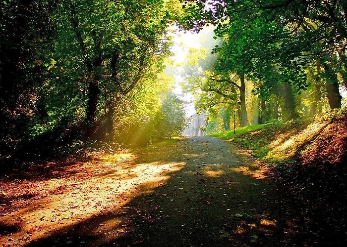 Отель Mount Juliet Estate Manor House